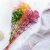 Gips Mix Royal 15 4.png