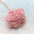 Hydrangea Pink Royal 03 1.png