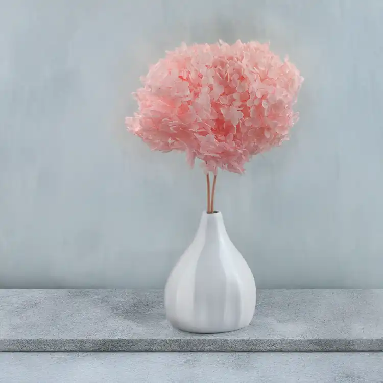Hydrangea Pink Royal 03 4.png
