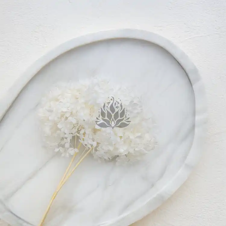 Hydrangea Bleached Royal 03.png