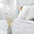 Populus Bleached Royal 6.png