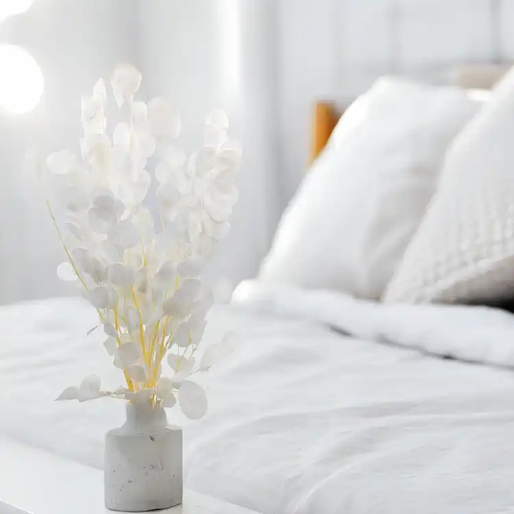 Populus Bleached Royal 6.png