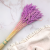 Owies Fiolet 4.png