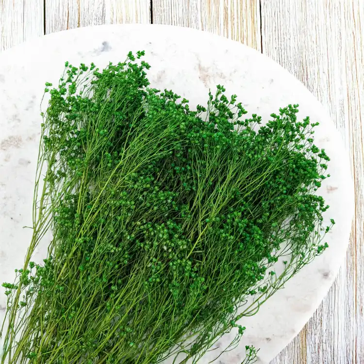 Broom Green 3.png