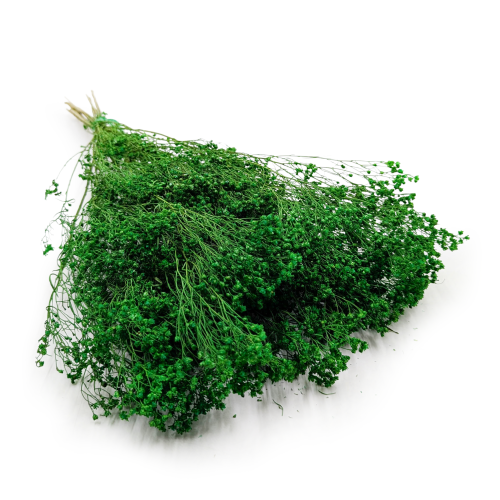 Broom Green.png