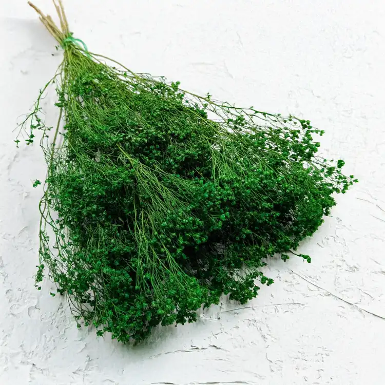 Broom Green 1.png