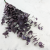 Stuartiana Milka LC 1.png
