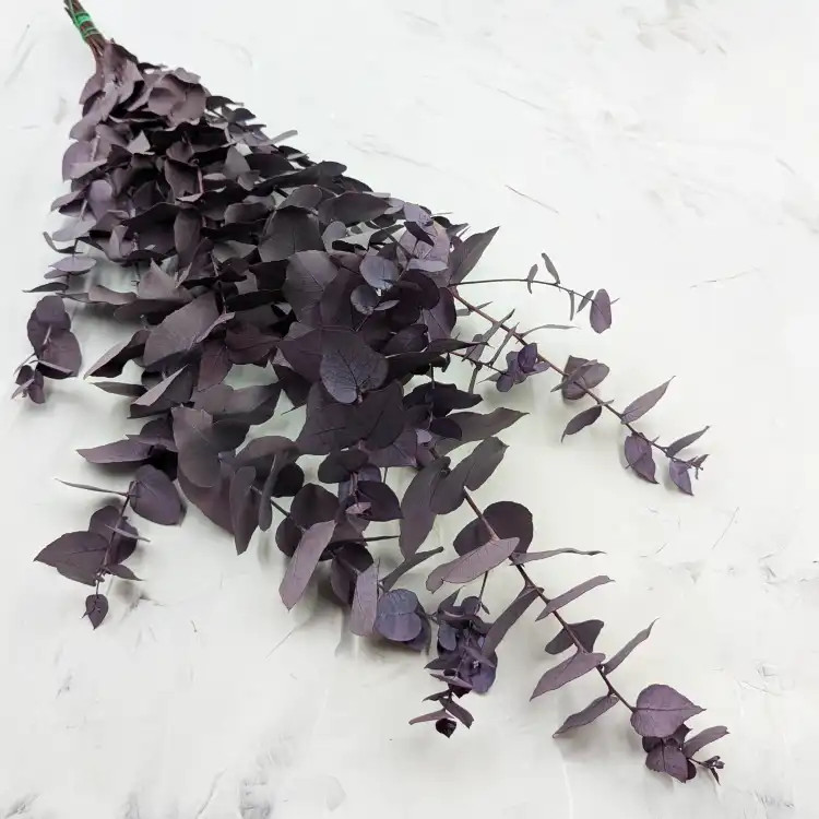 Stuartiana Milka LC 1.png