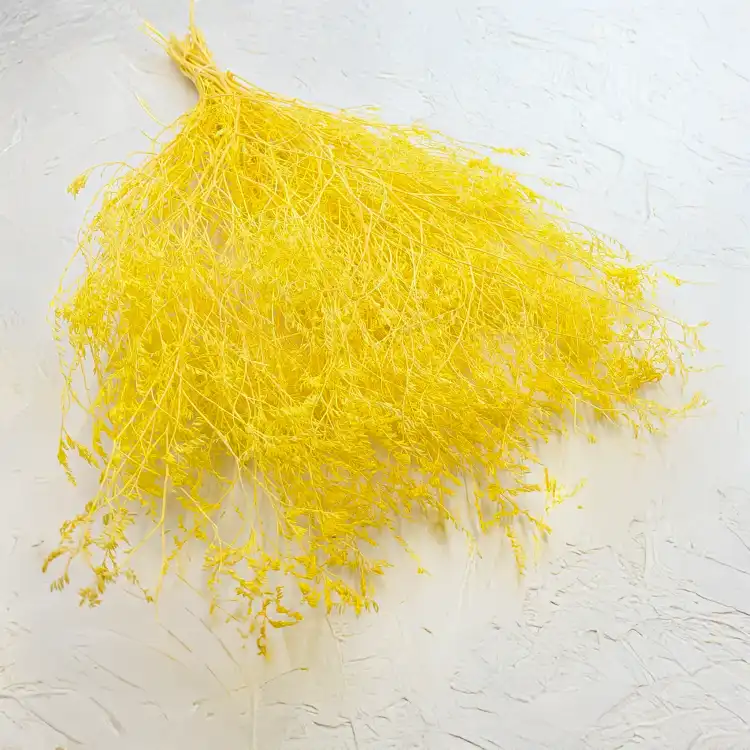 Statice Marine Yellow It 1.png