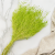 Statice Marine Lt Green IT 3.png