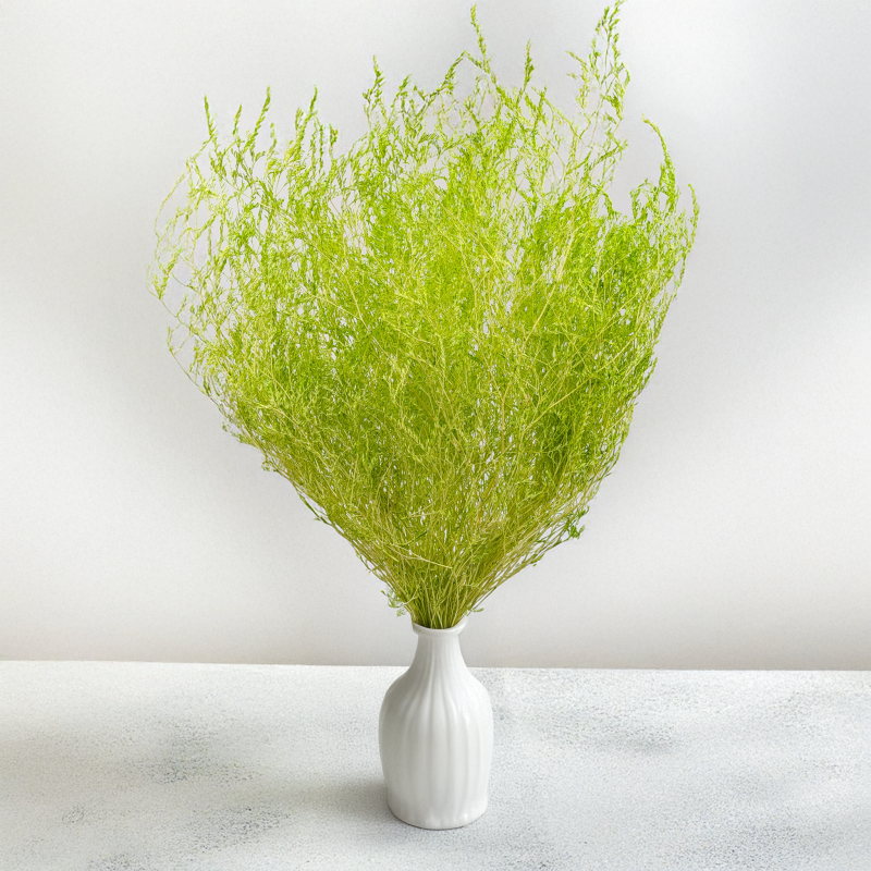 Statice Marine Lt Green IT 4.png