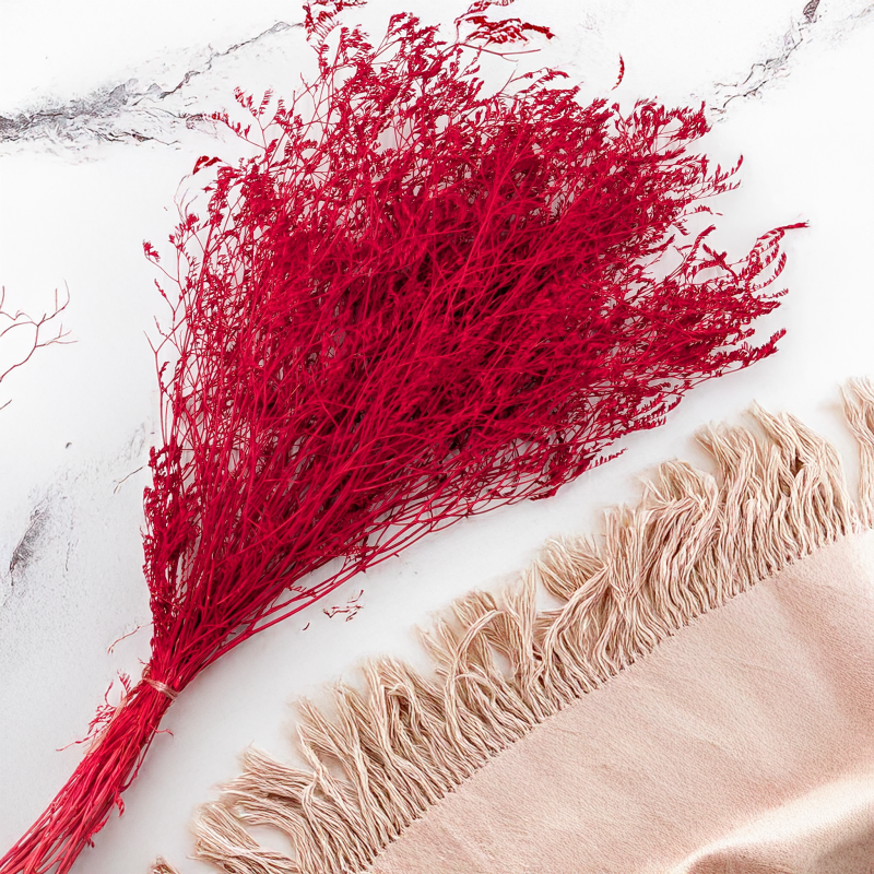 Statice Marine Red IT 3.png