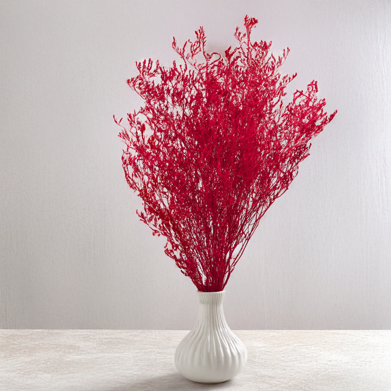 Statice Marine Red IT 4.png