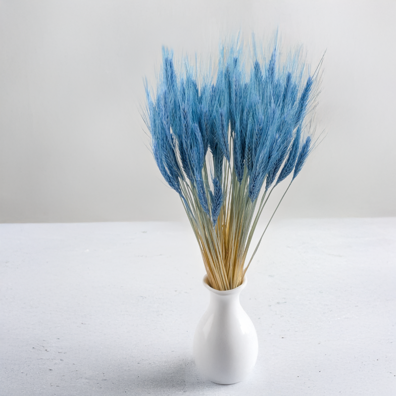 Pszenżyto niebieskie 6.png