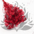 Gips Red Royal 14 1.png