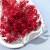 Gips Red Royal 14 2.png