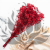 Gips Red Royal 14 3.png