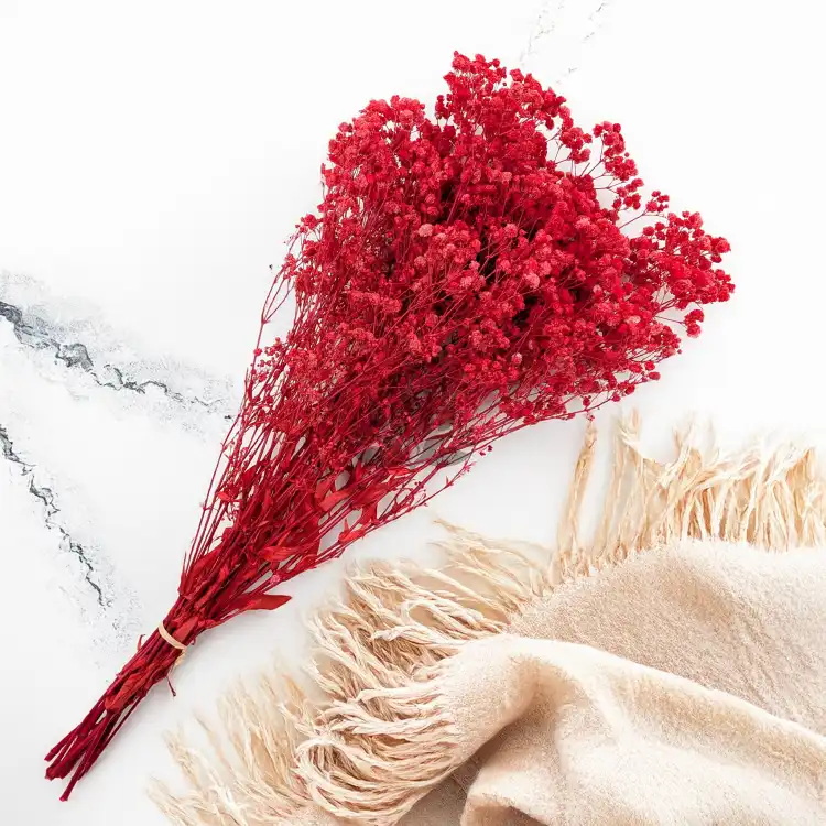 Gips Red Royal 14 3.png