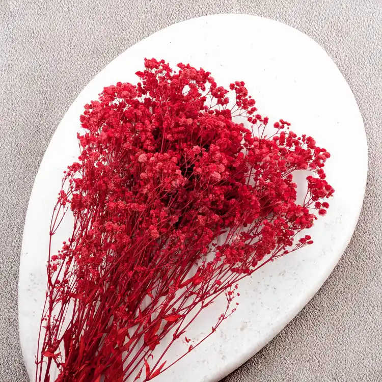 Gips Red Royal 14 4.png