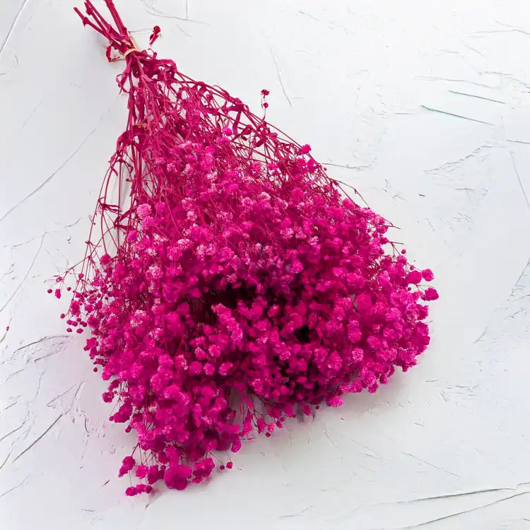 Gips Fuchsia Royal 06 1.png