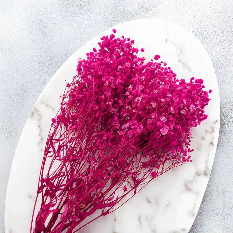 Gips Fuchsia Royal 06 4.png