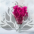 Gips Fuchsia Royal 06 5.png