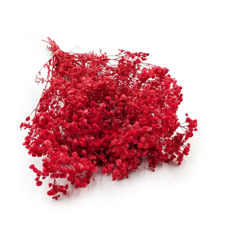 Gips Red Royal 14 0.png
