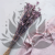 Nigella orient Lavender 3.png