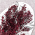 Ruskus Stab czerwony It 2.png
