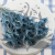 Nigella orient Sky Blue 2.png