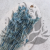 Nigella orient Sky Blue 4.png