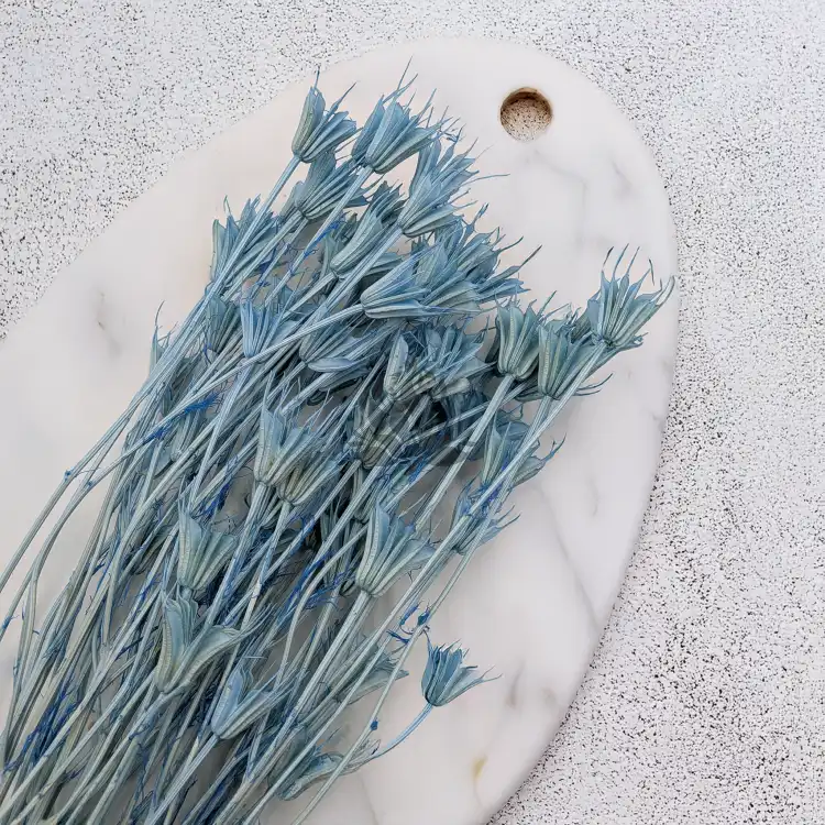 Nigella orient Sky Blue 4.png