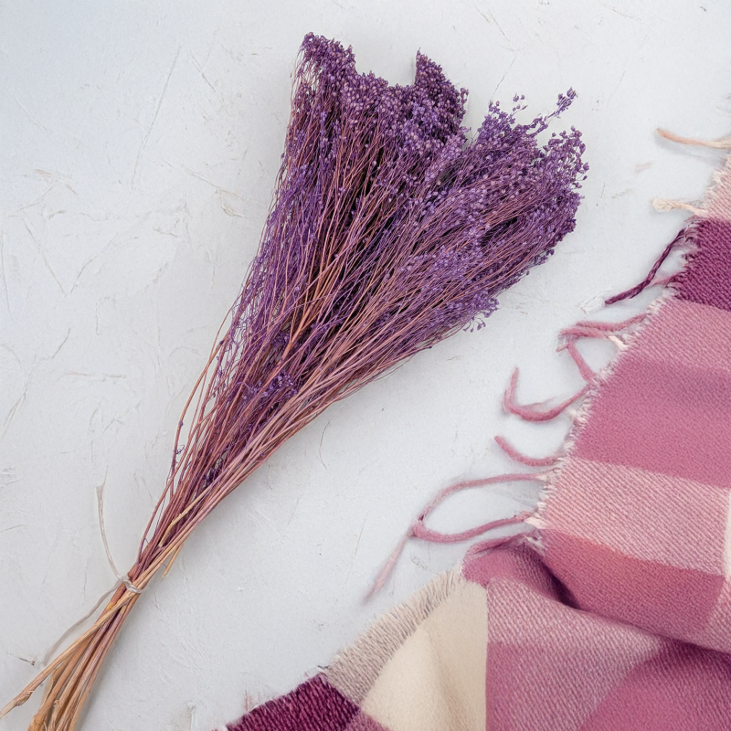 Broom Bloom lawendowy 4.png