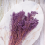 Broom Bloom lawendowy 5.png