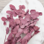 POPULUS ROYAL DUSTY PINK 2.png
