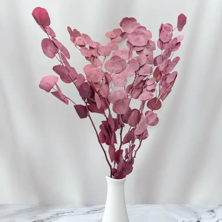 POPULUS ROYAL DUSTY PINK 5.png
