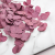POPULUS ROYAL DUSTY PINK 1.png