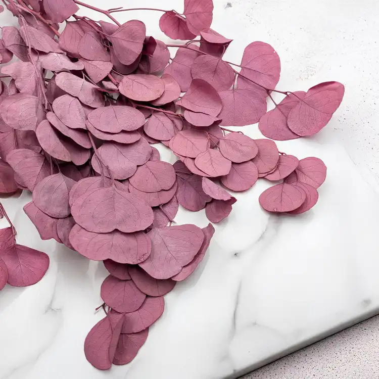 POPULUS ROYAL DUSTY PINK 1.png