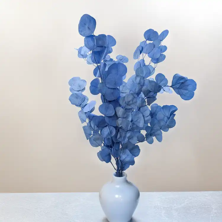POPULUS ROYAL BLUE 6.png