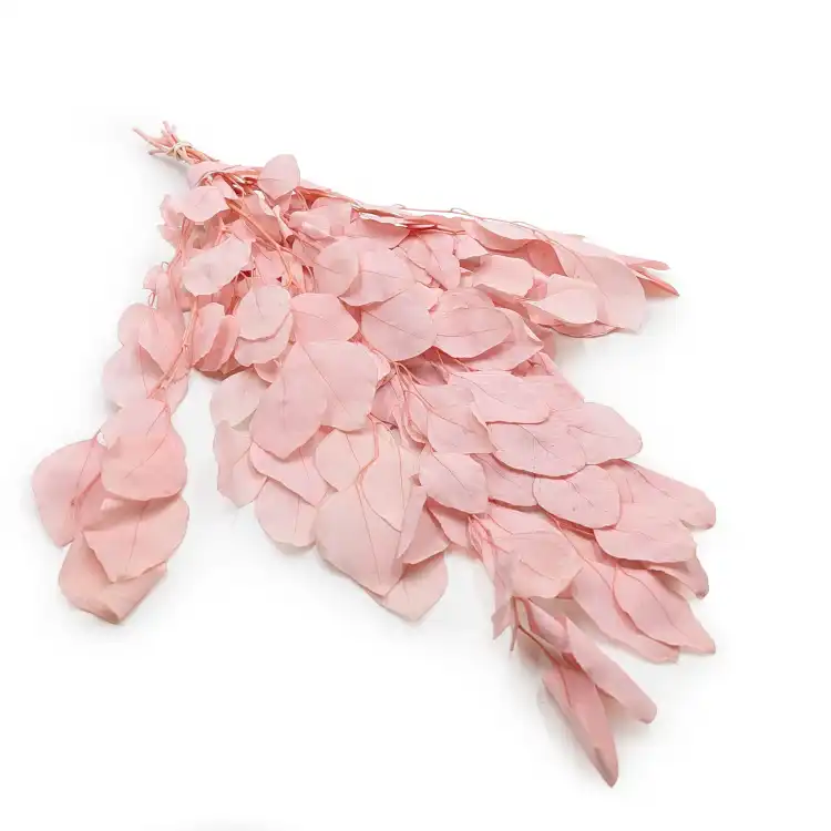 POPULUS ROYAL LT PINK 0.png