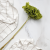 Hydrangea Royal Green 5.png