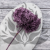 HYDRANGEA LAVENDER ROYAL 24 3.png