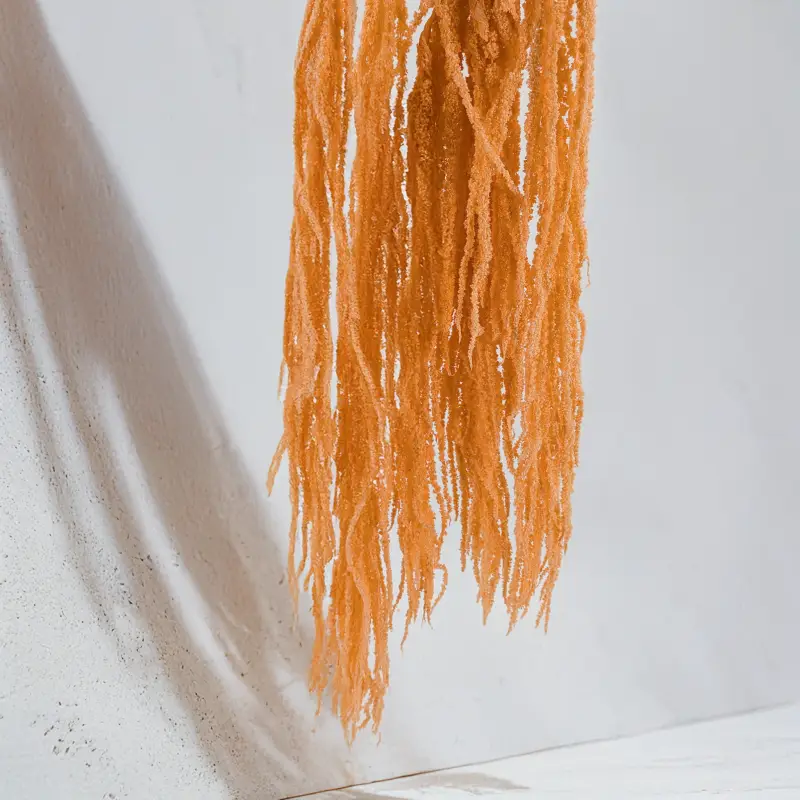 Szarlat Peach Royal 6.png