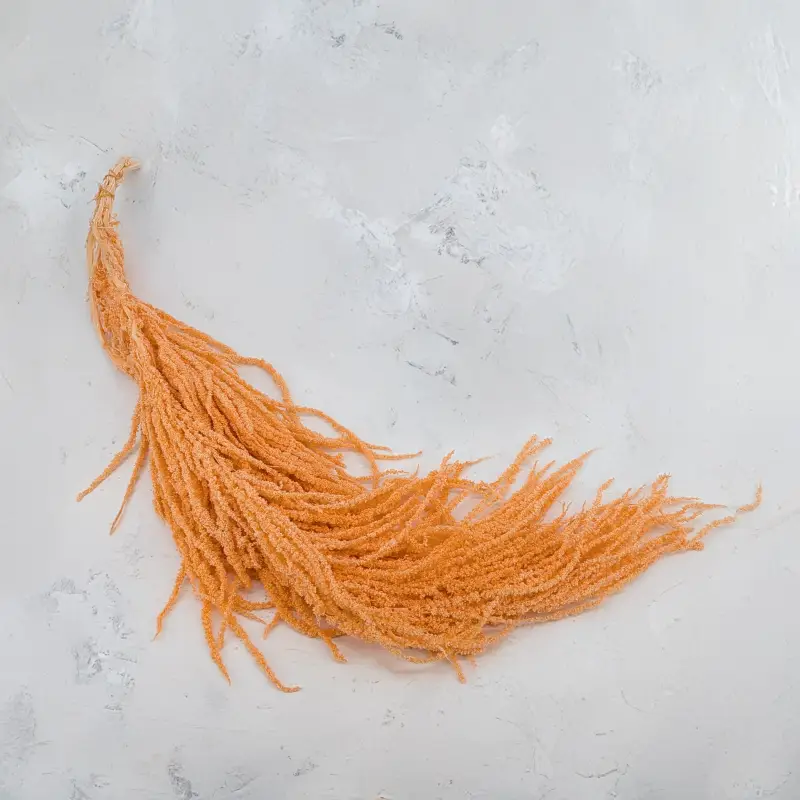 Szarlat Peach Royal 2.png