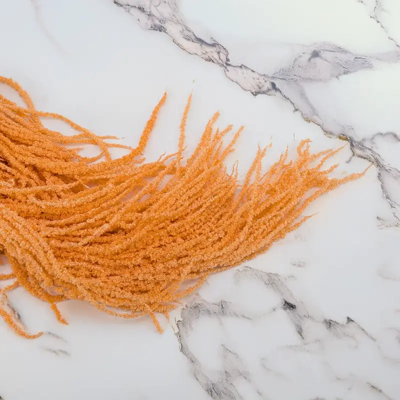 Szarlat Peach Royal 3.png