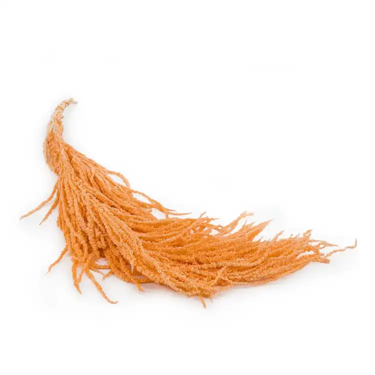 Szarlat Peach Royal.png