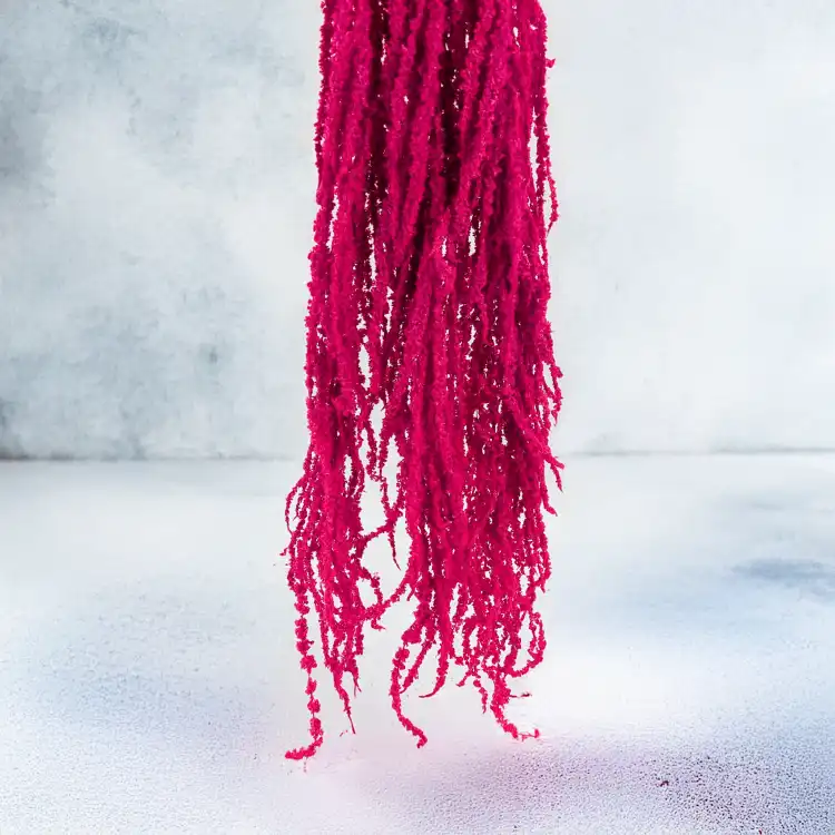 Szarlat Fuchsia Royal 4.png