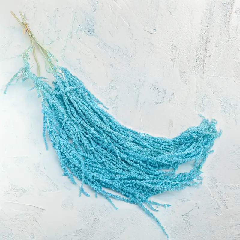 Szarlat Mint Blue Royal 1.png