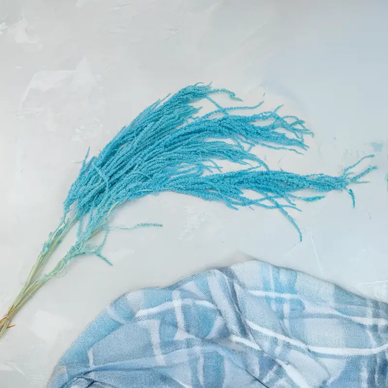 Szarlat Mint Blue Royal 2.png