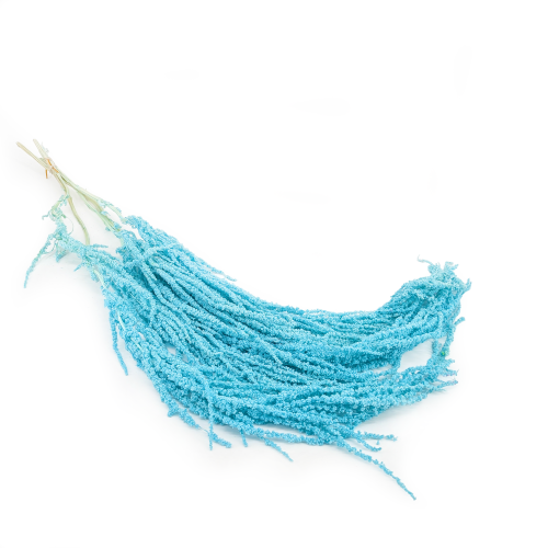 Szarlat Mint Blue Royal 0.png
